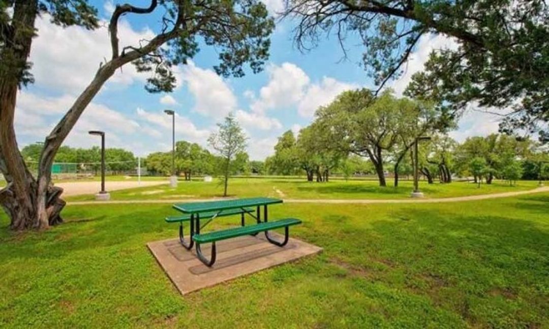 تاثیر طبیعت گردی بر سلامت روان